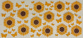 Sunflower #474