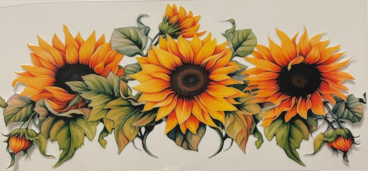 Sunflower #481