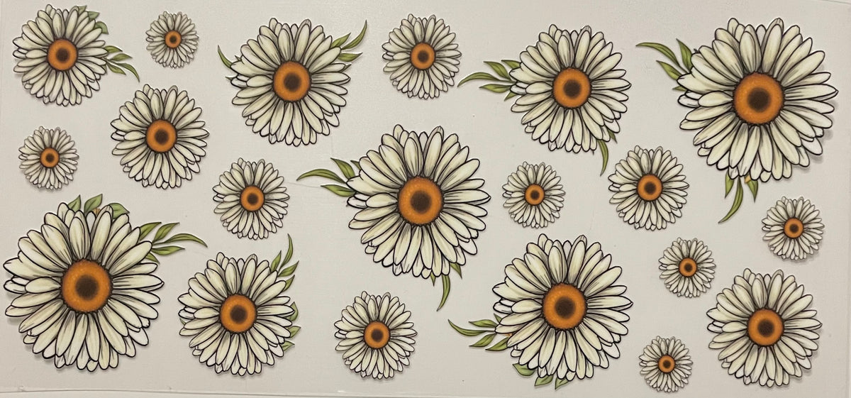 Daisy #475